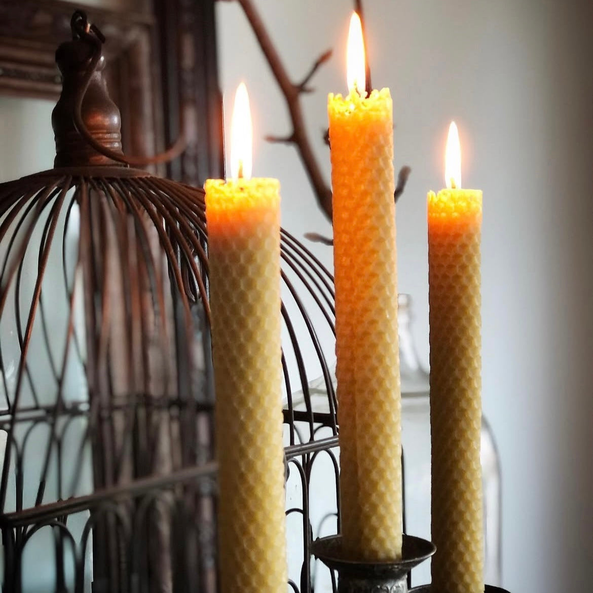 Trio Beeswax candles